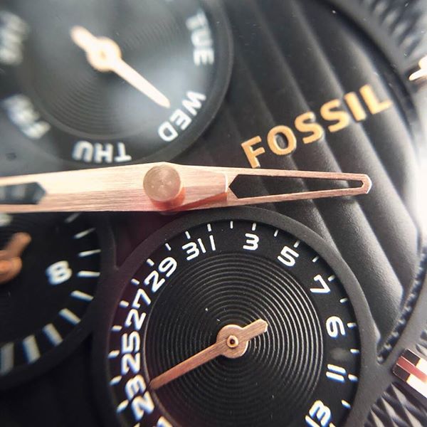 fossilme10994