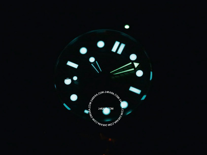 omega_seamaster_professional_300m_lume_1000