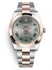 dong-ho-rolex-datejust-41-m126301-0015-126301-0015-oystersteel-va-vang-everose - ảnh nhỏ  1