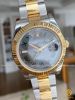 dong-ho-rolex-oyster-perpetual-datejust-ii-steel-gold-41-m116333-luot - ảnh nhỏ 31