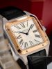 dong-ho-cartier-santos-dumont-extra-large-w2sa0017 - ảnh nhỏ 11