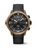 dong-ho-iwc-aquatimer-chronograph-edition-darwin-iw379503 - ảnh nhỏ  1