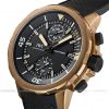 dong-ho-iwc-aquatimer-chronograph-edition-darwin-iw379503 - ảnh nhỏ 2