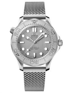 Đồng hồ Omega Seamaster Diver 300M 210.30.42.20.06.002 21030422006002