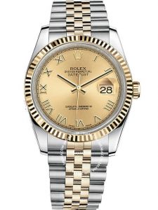 Đồng hồ Rolex Oyster Perpetual Datejust M116233 116233