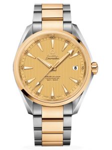 Đồng hồ Omega Seamaster Aqua Terra 23120422108001 231.20.42.21.08.001