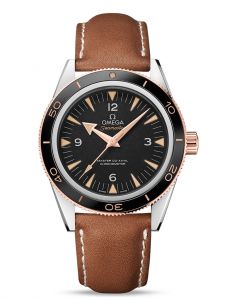 Đồng hồ Omega Seamaster 300 233.22.41.21.01.002 41 Sedna Gold Steel