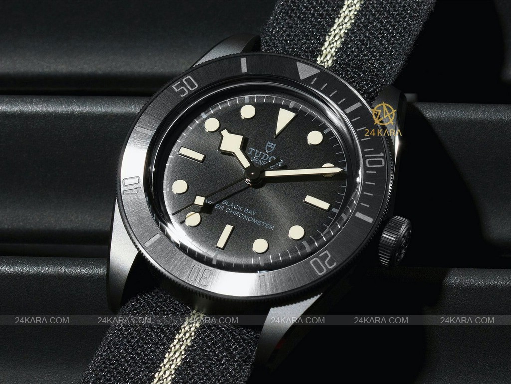 tudor-6