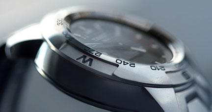 wa_bezels_diving