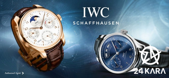 Cánh chim đầu đàn trên bầu trời Thụy Sỹ IWC